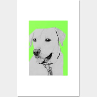 Golden Retriever in Green Posters and Art